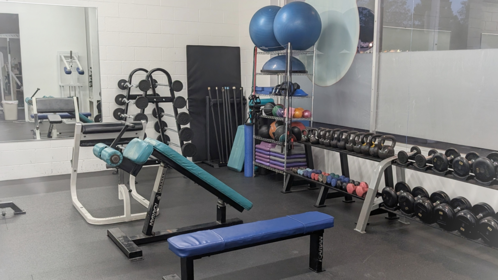 JoshFit gym training area with dumbbells, exercise balls, and workout equipment